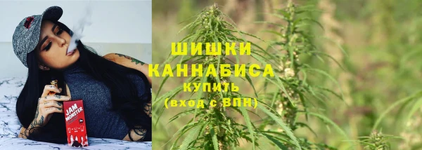 героин Богданович