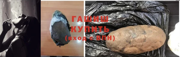 гидра Бородино