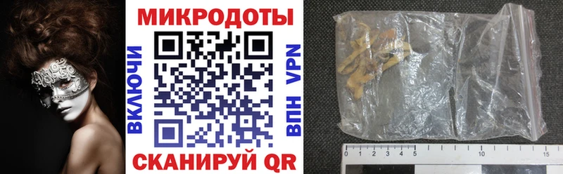 Псилоцибиновые грибы Psilocybe  Тула 